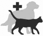 Для привередливых кошек покупка хорошего корма
